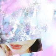 ヒメ日記 2025/03/19 11:24 投稿 蓮 熟女の風俗最終章 横浜本店