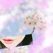 ヒメ日記 2025/03/31 14:44 投稿 蓮 熟女の風俗最終章 横浜本店