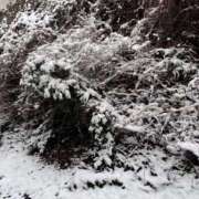 えみり さすがに PLEASURE