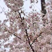ヒメ日記 2026/04/07 17:10 投稿 えみり PLEASURE