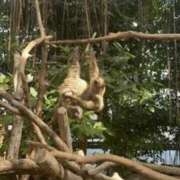 ヒメ日記 2026/02/28 12:16 投稿 ふゆか 快楽玉乱堂