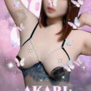 ヒメ日記 2025/03/31 19:17 投稿 吉田あかり 五十路マダムエクスプレス豊橋店（カサブランカグループ）