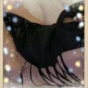 ヒメ日記 2026/01/21 20:05 投稿 ひより ジューシー