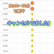 ヒメ日記 2025/07/16 11:07 投稿 ゆいな 恵比寿ニューヨーク