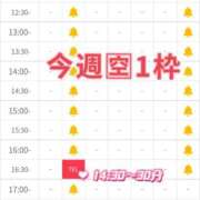 ヒメ日記 2025/09/07 14:47 投稿 ゆいな 恵比寿ニューヨーク