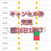 ヒメ日記 2025/09/12 12:17 投稿 ゆいな 恵比寿ニューヨーク