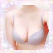 ヒメ日記 2025/04/06 13:05 投稿 れん 立川ちゃんこ