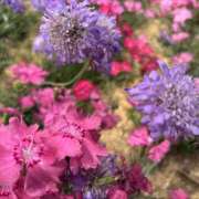 ヒメ日記 2025/05/27 17:55 投稿 めいこ 京都人妻デリヘル倶楽部