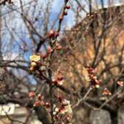 ヒメ日記 2026/02/01 13:27 投稿 めいこ 京都人妻デリヘル倶楽部