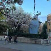 ヒメ日記 2025/04/07 09:22 投稿 ヘヨン 性の極み妻 好き者たちの宴