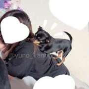 ヒメ日記 2025/02/22 14:38 投稿 ゆの ソープランド看護学院ディエックス