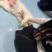 ヒメ日記 2025/03/14 09:28 投稿 ゆの ソープランド看護学院ディエックス