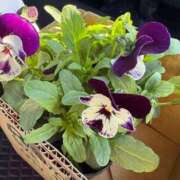 ヒメ日記 2025/04/17 19:28 投稿 ゆの ソープランド看護学院ディエックス