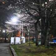 ヒメ日記 2025/04/27 07:08 投稿 ゆの ソープランド看護学院ディエックス