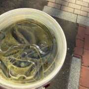 ヒメ日記 2025/05/07 17:08 投稿 ゆの ソープランド看護学院ディエックス