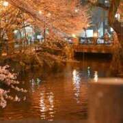 ヒメ日記 2025/05/09 19:08 投稿 ゆの ソープランド看護学院ディエックス