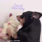 ヒメ日記 2025/05/19 11:28 投稿 ゆの ソープランド看護学院ディエックス