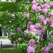 ヒメ日記 2025/05/22 21:58 投稿 ゆの ソープランド看護学院ディエックス