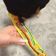 ヒメ日記 2025/06/04 01:18 投稿 ゆの ソープランド看護学院ディエックス