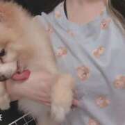 ヒメ日記 2025/06/12 08:09 投稿 ゆの ソープランド看護学院ディエックス