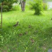 ヒメ日記 2025/06/16 13:08 投稿 ゆの ソープランド看護学院ディエックス