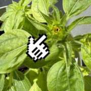 ヒメ日記 2025/07/12 08:28 投稿 ゆの ソープランド看護学院ディエックス