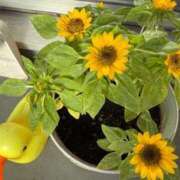 ヒメ日記 2025/07/24 11:18 投稿 ゆの ソープランド看護学院ディエックス