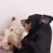 ヒメ日記 2025/07/24 19:15 投稿 ゆの ソープランド看護学院ディエックス