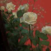 ヒメ日記 2025/08/19 20:09 投稿 ゆの ソープランド看護学院ディエックス