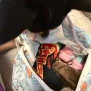 ヒメ日記 2025/08/24 01:38 投稿 ゆの ソープランド看護学院ディエックス