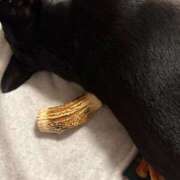 ヒメ日記 2025/08/25 20:18 投稿 ゆの ソープランド看護学院ディエックス