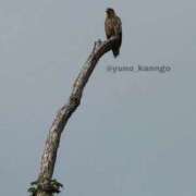 ヒメ日記 2025/08/29 11:38 投稿 ゆの ソープランド看護学院ディエックス