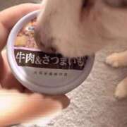 ヒメ日記 2025/09/13 17:18 投稿 ゆの ソープランド看護学院ディエックス