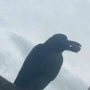 ヒメ日記 2025/09/20 18:28 投稿 ゆの ソープランド看護学院ディエックス