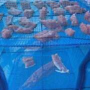 ヒメ日記 2025/09/21 12:28 投稿 ゆの ソープランド看護学院ディエックス