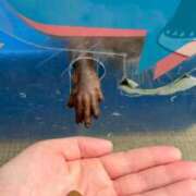 ヒメ日記 2025/09/24 09:58 投稿 ゆの ソープランド看護学院ディエックス