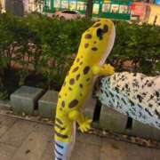 ヒメ日記 2025/09/26 12:28 投稿 ゆの ソープランド看護学院ディエックス