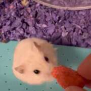 ヒメ日記 2025/09/30 11:20 投稿 ゆの ソープランド看護学院ディエックス