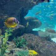 ヒメ日記 2025/10/04 08:18 投稿 ゆの ソープランド看護学院ディエックス