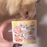 ヒメ日記 2025/10/07 07:48 投稿 ゆの ソープランド看護学院ディエックス