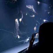 ヒメ日記 2025/10/08 03:38 投稿 ゆの ソープランド看護学院ディエックス