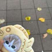 ヒメ日記 2025/10/10 16:56 投稿 ゆの ソープランド看護学院ディエックス