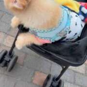 ヒメ日記 2025/10/12 10:41 投稿 ゆの ソープランド看護学院ディエックス