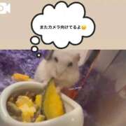 ヒメ日記 2025/10/15 07:38 投稿 ゆの ソープランド看護学院ディエックス