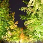 ヒメ日記 2025/10/26 19:30 投稿 ゆの ソープランド看護学院ディエックス