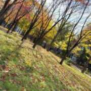 ヒメ日記 2025/10/30 15:08 投稿 ゆの ソープランド看護学院ディエックス