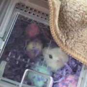 ヒメ日記 2025/11/13 16:38 投稿 ゆの ソープランド看護学院ディエックス