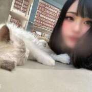 ヒメ日記 2025/11/17 07:18 投稿 ゆの ソープランド看護学院ディエックス