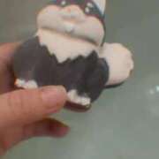 ヒメ日記 2025/11/19 12:48 投稿 ゆの ソープランド看護学院ディエックス