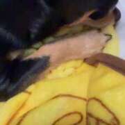 ヒメ日記 2025/11/20 12:30 投稿 ゆの ソープランド看護学院ディエックス